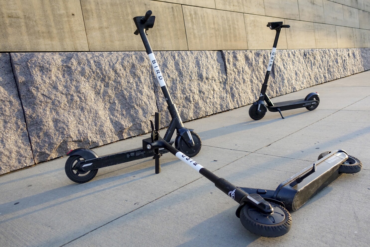 Bird scooter 2025